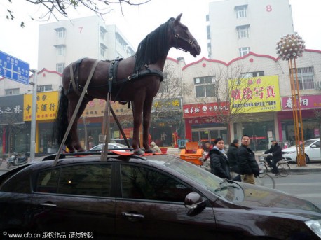 Police gets Jumpy about Horse on Car in China