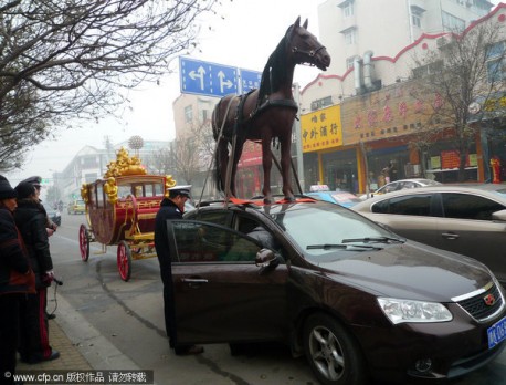 Police gets Jumpy about Horse on Car in China