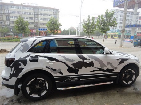 Audi Q5 is a Cow in China