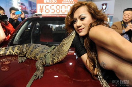 Dangerous Animals at the Guiyang Auto Show in China, Part 2