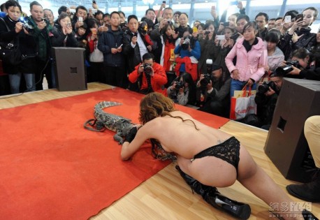 Dangerous Animals at the Guiyang Auto Show in China, Part 2
