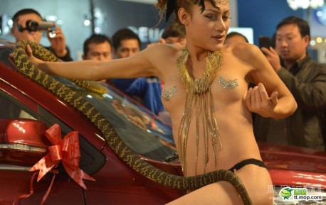 Dangerous Animals at the Guiyang Auto Show in China