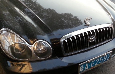 Strange Ornaments on a Hyundai Sonata in China