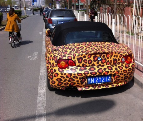 bmw-z4-china-4