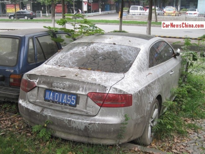 audi-a5-nature-china-3