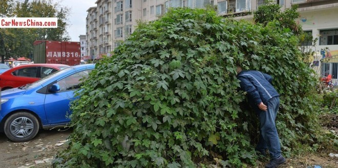 zombie-car-china-3