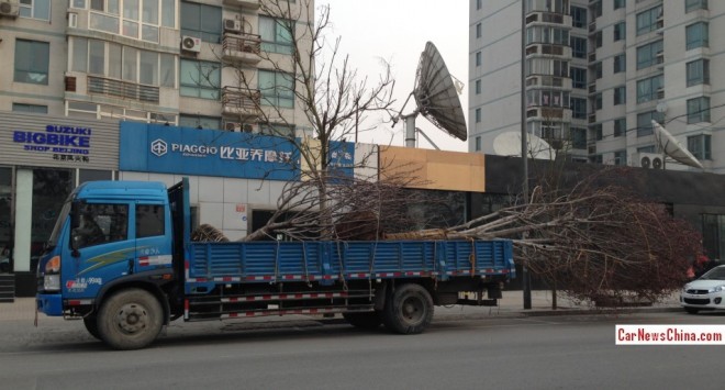 truck-tree-china-3