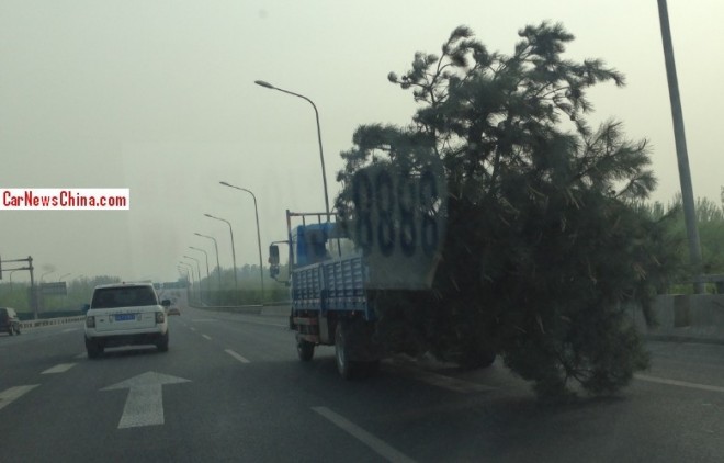 tree-china-move-2