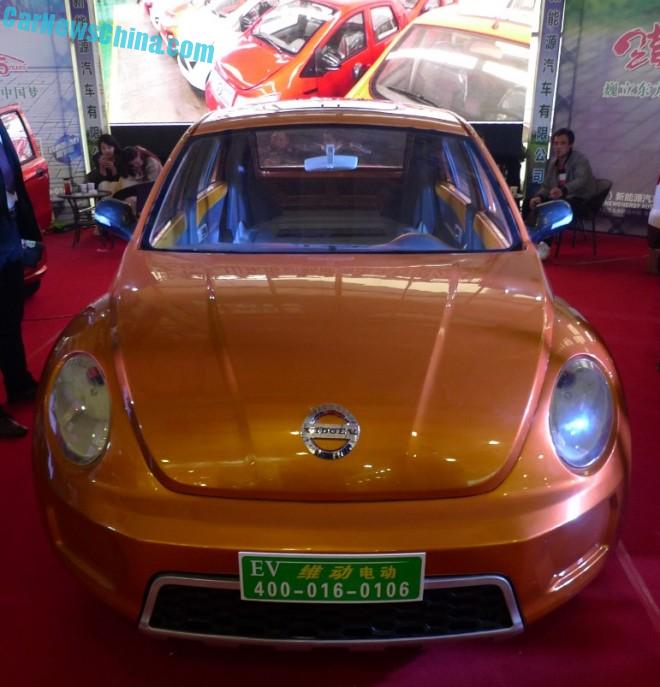 vedeoev-beetle-china-lsev-5