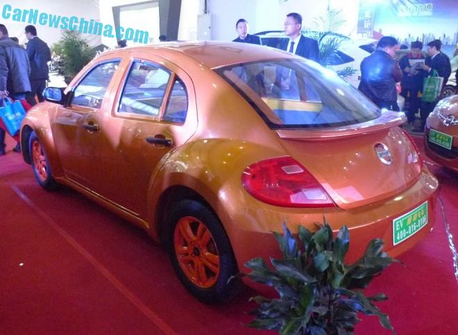 vedeoev-beetle-china-lsev-7