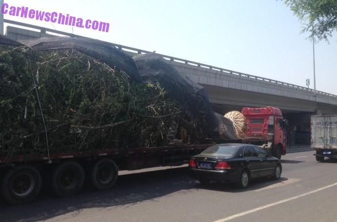truck-tree-china-bj-3