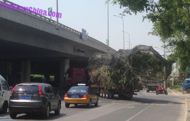 truck-tree-china-bj-6