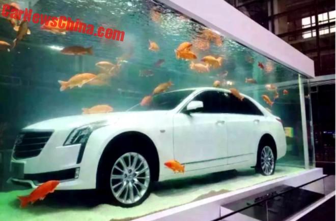 cadillac-ct6-china-fish-5