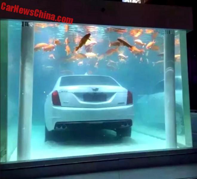 cadillac-ct6-china-fish-6