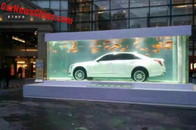 cadillac-ct6-china-fish-8