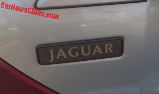 jaguar-sport-china-4