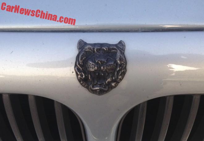 jaguar-sport-china-6