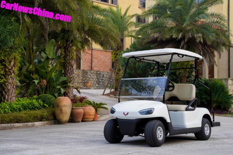 Wuling Golf Cart