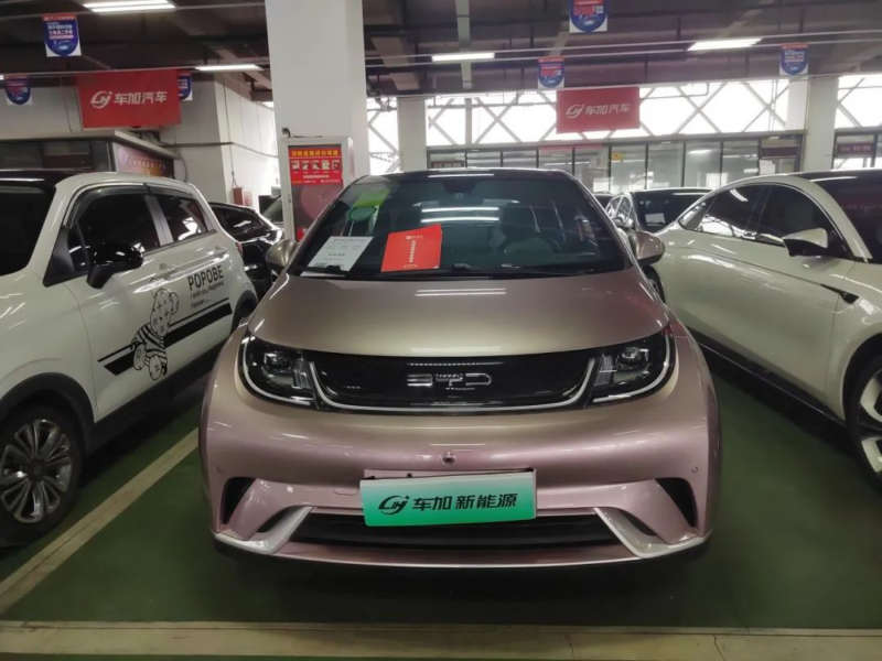 Zero-Mileage BYD Dolphin