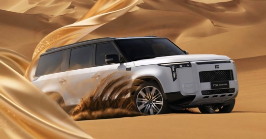 Rox Motor’s Polestones Adamas