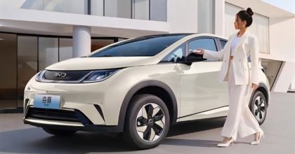 2025 BYD Dolphin